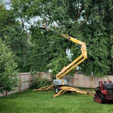 Best Tree Health Inspection  in Glen Burnie, MD