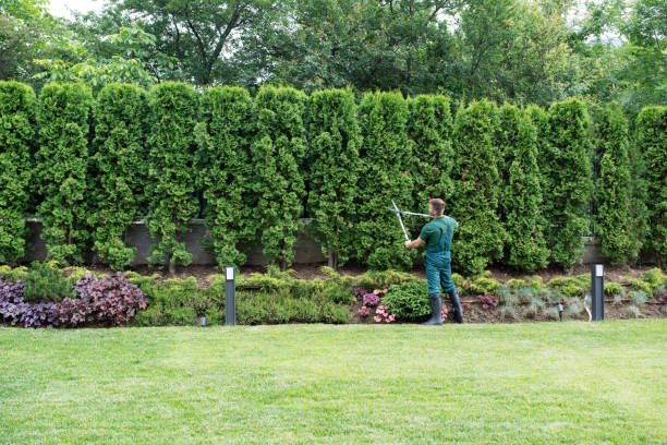 Best Landscape Design and Installation  in Glen Burnie, MD